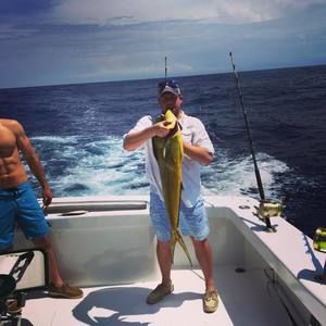 Meet your Posher, Gregory